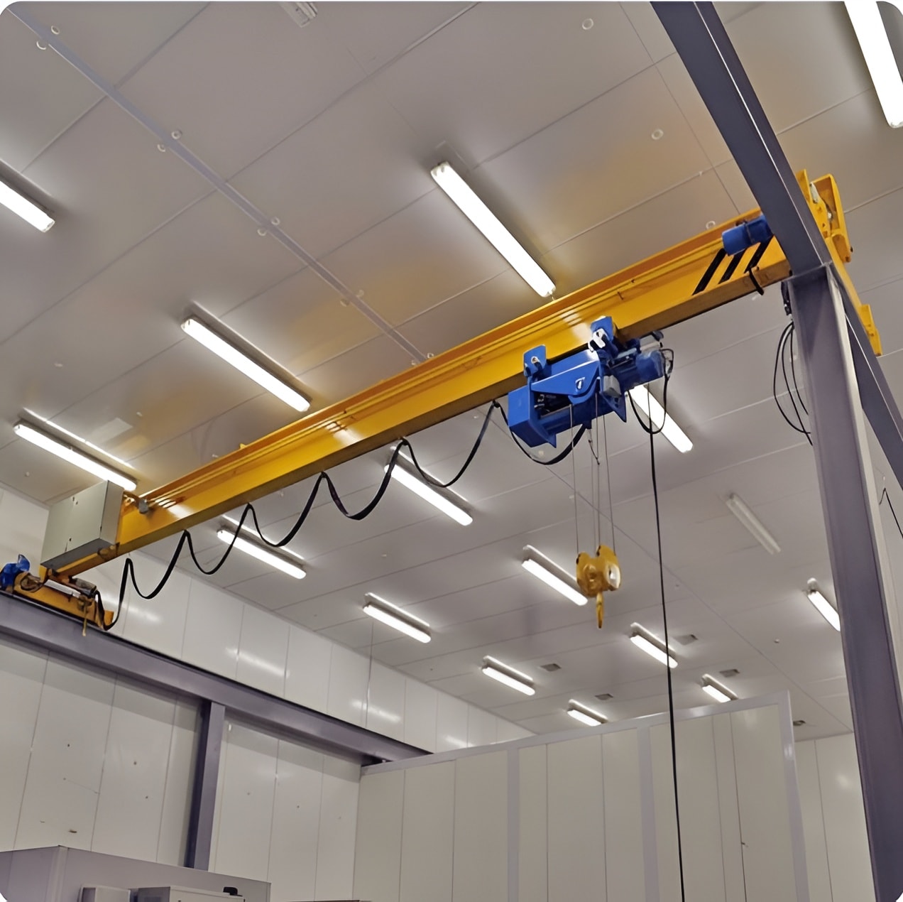 Conveyor & Crane Systems